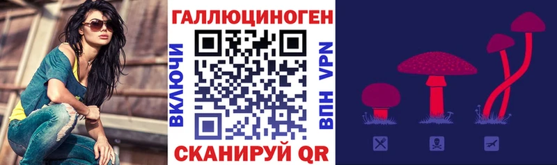 mega   Дегтярск  дарк нет состав  купить закладку  Псилоцибиновые грибы ЛСД 